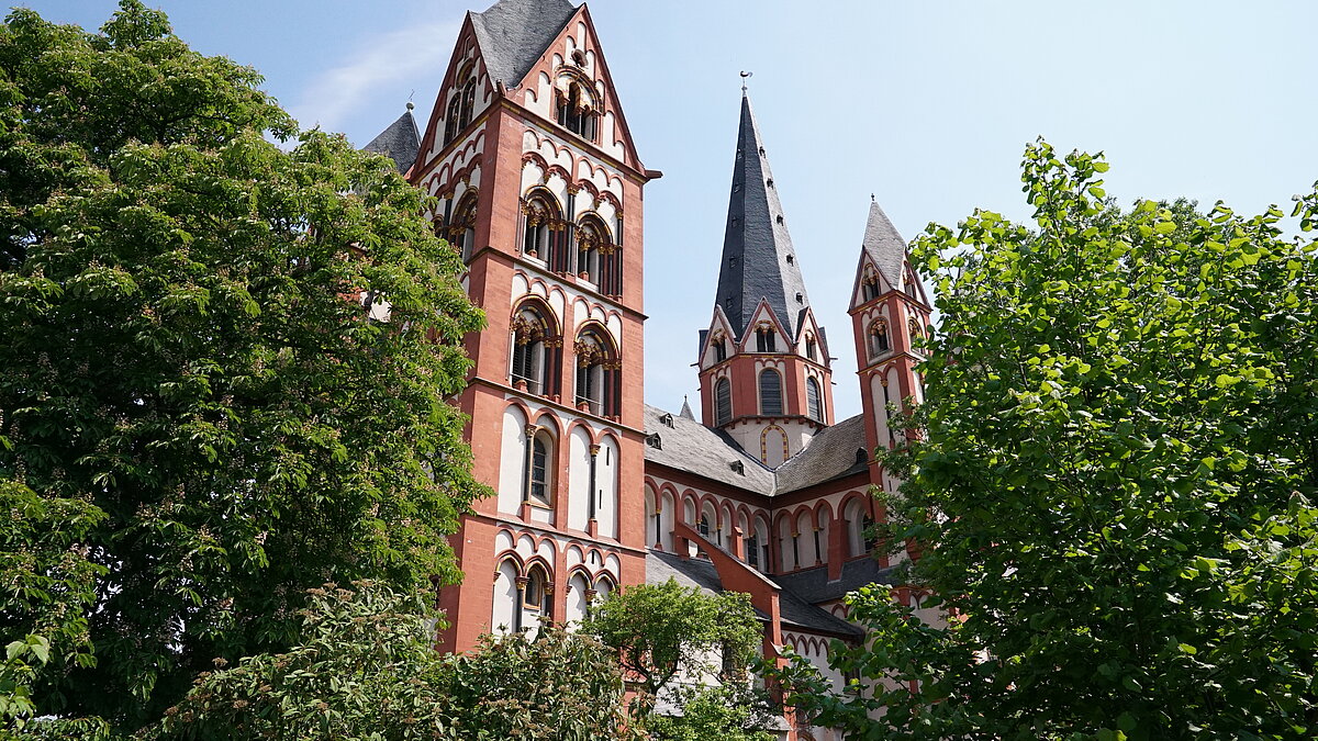 Erste Seligsprechung im Bistum Limburg